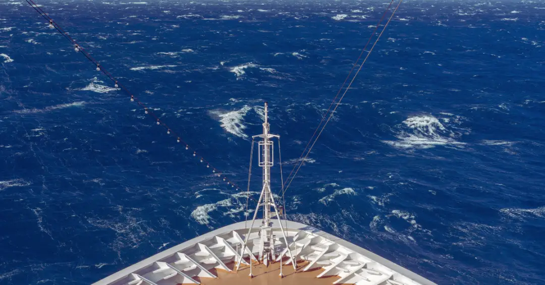 high seas cruise meaning