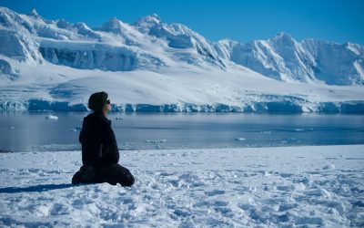 Cruising to Antarctica: Your Ultimate Expedition Guide
