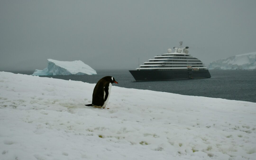 Luxury Antarctic Expedition Cruises for Wildlife Enthusiasts: Experience the Ultimate Adventure